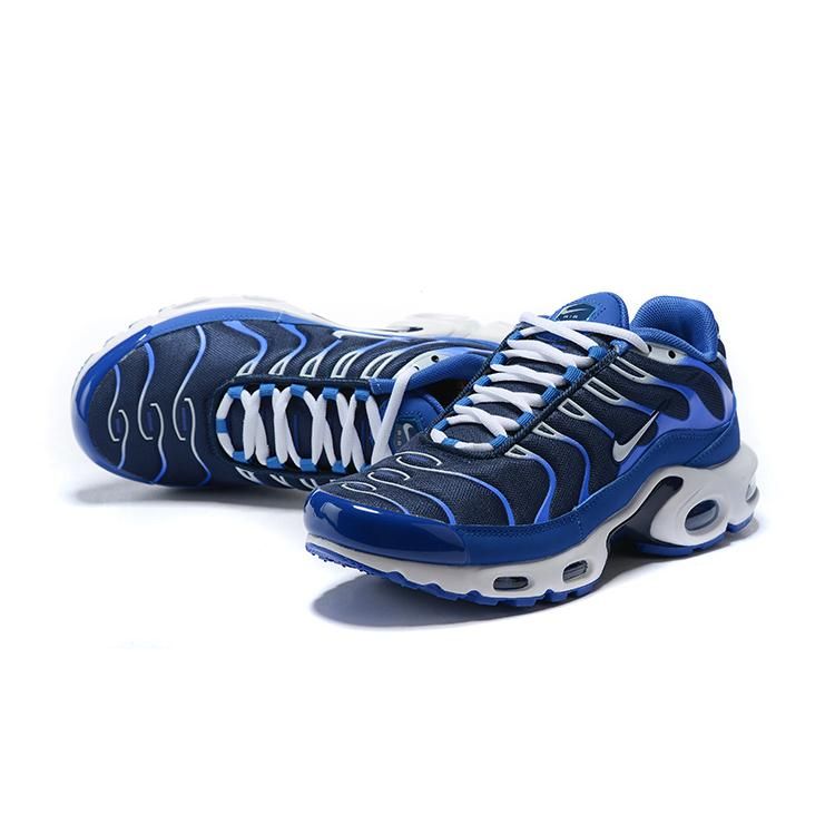 AIR MAX PLUS TN ‘ARTIC CHILL’